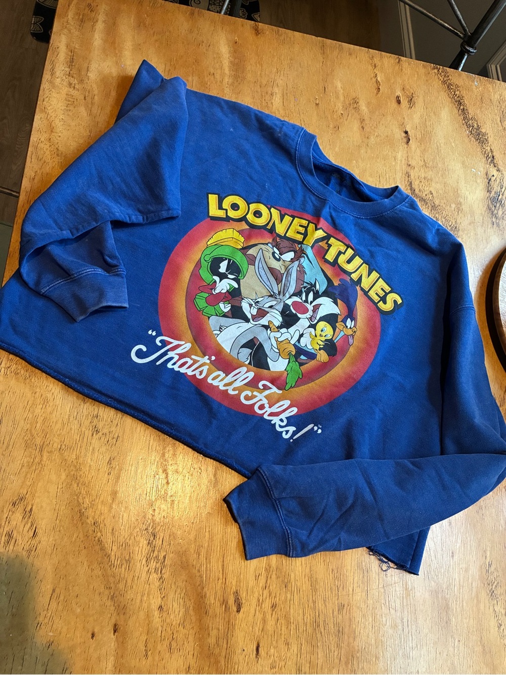 Warner Bros. Royal Blue Looney Tunes Crewneck Sweatshirt